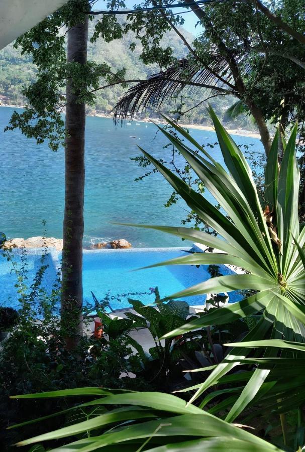 Villas Santa Cecilia "Villa Geegee" En Yelapa Eksteriør billede